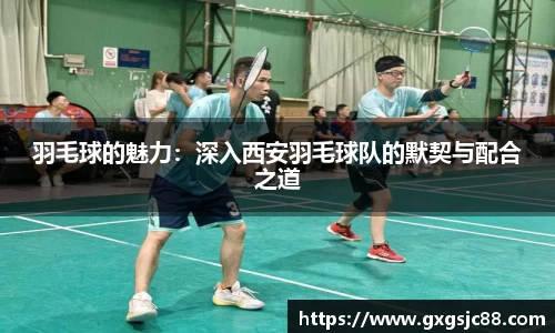 羽毛球的魅力：深入西安羽毛球队的默契与配合之道